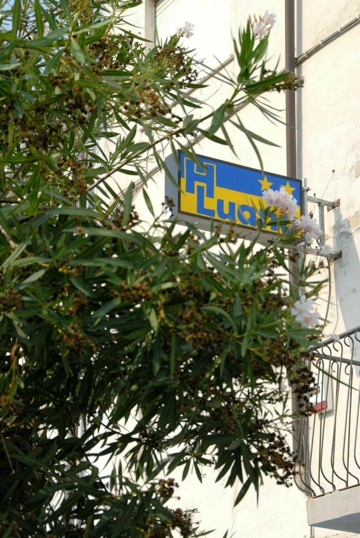 Hotel Luana Виареджо Екстериор снимка